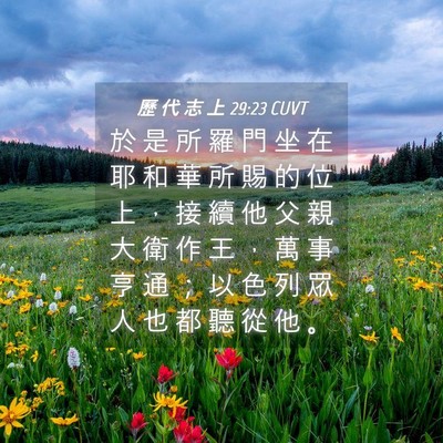 Picture 04 - 歷 代 志 上 29:23 CUVT - 於 是 所 羅 門 坐 在 耶 和 華 所 賜 - Bible Verse Picture