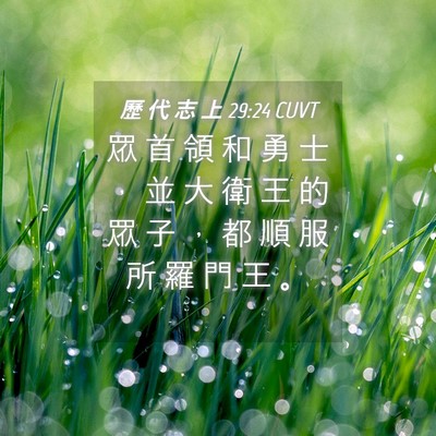 Picture 04 - 歷 代 志 上 29:24 CUVT - 眾 首 領 和 勇 士 ， 並 大 衛 王 的 - Bible Verse Picture