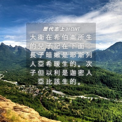 Picture 04 - 歷 代 志 上 3:1 CUVT - 大 衛 在 希 伯 崙 所 生 的 兒 子 記 - Bible Verse Picture