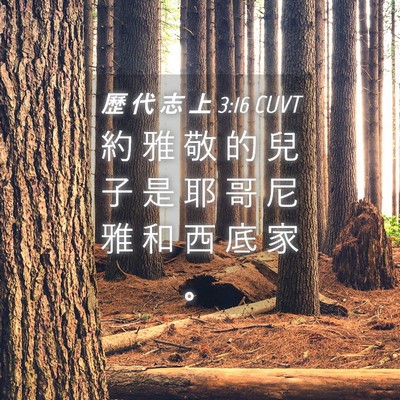 Picture 04 - 歷 代 志 上 3:16 CUVT - 約 雅 敬 的 兒 子 是 耶 哥 尼 雅 和 - Bible Verse Picture
