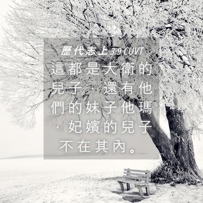 Picture 04 - 歷 代 志 上 3:9 CUVT - 這 都 是 大 衛 的 兒 子 ， 還 有 他 - Bible Verse Picture