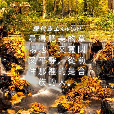 Picture 04 - 歷 代 志 上 4:40 CUVT - 尋 得 肥 美 的 草 場 地 ， 又 寬 闊 - Bible Verse Picture