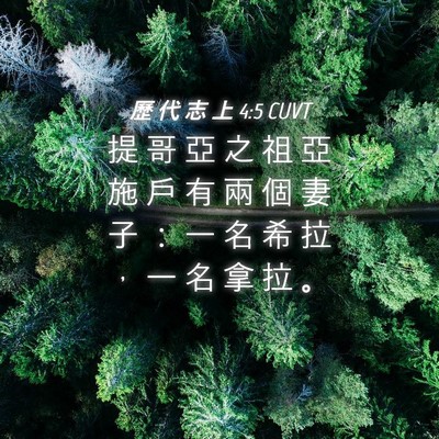 Picture 04 - 歷 代 志 上 4:5 CUVT - 提 哥 亞 之 祖 亞 施 戶 有 兩 個 妻 - Bible Verse Picture