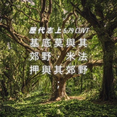 Picture 04 - 歷 代 志 上 6:79 CUVT - 基 底 莫 與 其 郊 野 ， 米 法 押 與 - Bible Verse Picture