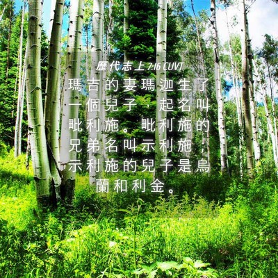 Picture 04 - 歷 代 志 上 7:16 CUVT - 瑪 吉 的 妻 瑪 迦 生 了 一 個 兒 子 - Bible Verse Picture