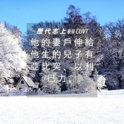 Picture 04 - 歷 代 志 上 8:11 CUVT - 他 的 妻 戶 伸 給 他 生 的 兒 子 有 - Bible Verse Picture