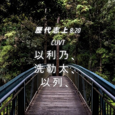 Picture 04 - 歷 代 志 上 8:20 CUVT - 以 利 乃 、 洗 勒 太 、 以 列 - Bible Verse Picture