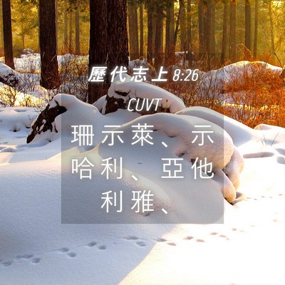 Picture 04 - 歷 代 志 上 8:26 CUVT - 珊 示 萊 、 示 哈 利 、 亞 他 利 雅 - Bible Verse Picture