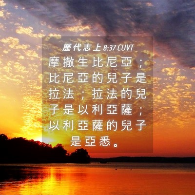 Picture 04 - 歷 代 志 上 8:37 CUVT - 摩 撒 生 比 尼 亞 ； 比 尼 亞 的 兒 - Bible Verse Picture