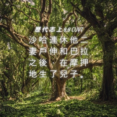 Picture 04 - 歷 代 志 上 8:8 CUVT - 沙 哈 連 休 他 二 妻 戶 伸 和 巴 拉 - Bible Verse Picture