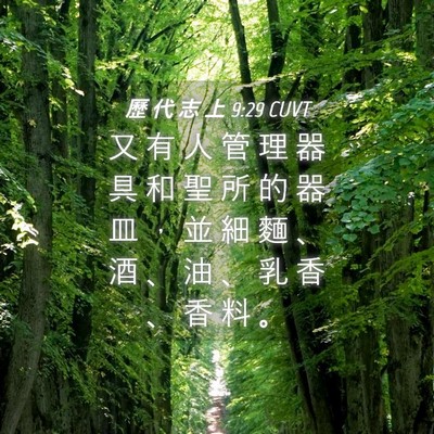 Picture 04 - 歷 代 志 上 9:29 CUVT - 又 有 人 管 理 器 具 和 聖 所 的 器 - Bible Verse Picture