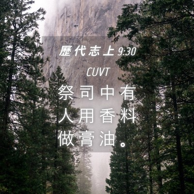 Picture 04 - 歷 代 志 上 9:30 CUVT - 祭 司 中 有 人 用 香 料 做 膏 油 - Bible Verse Picture
