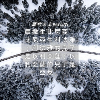 Picture 04 - 歷 代 志 上 9:43 CUVT - 摩 撒 生 比 尼 亞 ； 比 尼 亞 生 利 - Bible Verse Picture