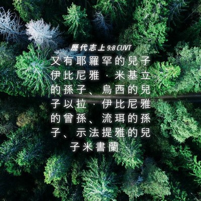 Picture 04 - 歷 代 志 上 9:8 CUVT - 又 有 耶 羅 罕 的 兒 子 伊 比 尼 雅 - Bible Verse Picture