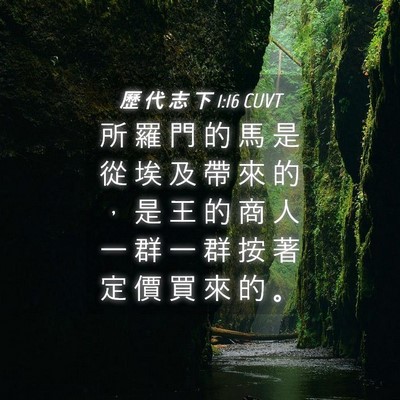 Picture 04 - 歷 代 志 下 1:16 CUVT - 所 羅 門 的 馬 是 從 埃 及 帶 來 的 - Bible Verse Picture