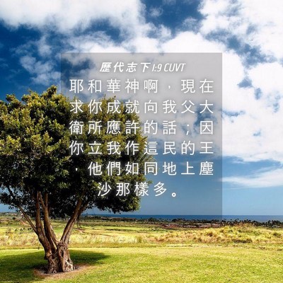 Picture 04 - 歷 代 志 下 1:9 CUVT - 耶 和 華 神 啊 ， 現 在 求 你 成 就 - Bible Verse Picture