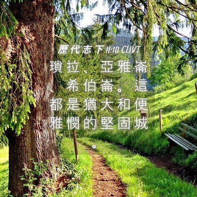 Picture 04 - 歷 代 志 下 11:10 CUVT - 瑣 拉 、 亞 雅 崙 、 希 伯 崙 。 這 - Bible Verse Picture