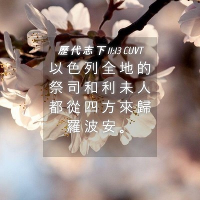 Picture 04 - 歷 代 志 下 11:13 CUVT - 以 色 列 全 地 的 祭 司 和 利 未 人 - Bible Verse Picture