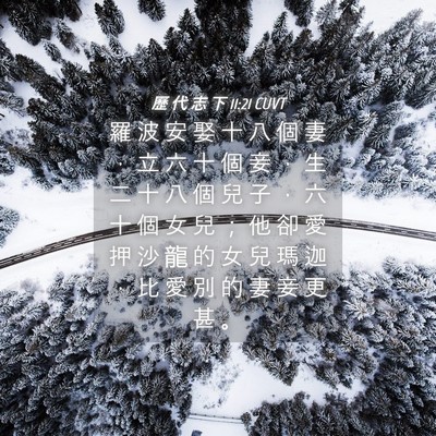 Picture 04 - 歷 代 志 下 11:21 CUVT - 羅 波 安 娶 十 八 個 妻 ， 立 六 十 - Bible Verse Picture