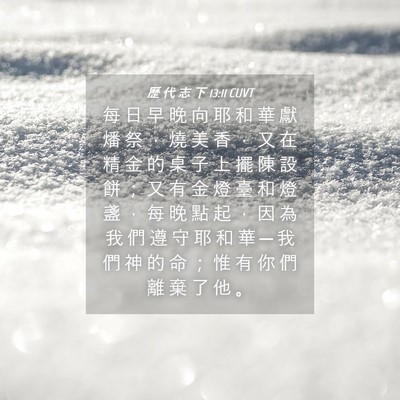 Picture 04 - 歷 代 志 下 13:11 CUVT - 每 日 早 晚 向 耶 和 華 獻 燔 祭 ， - Bible Verse Picture