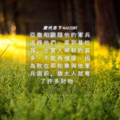 Picture 04 - 歷 代 志 下 14:13 CUVT - 亞 撒 和 跟 隨 他 的 軍 兵 追 趕 他 - Bible Verse Picture