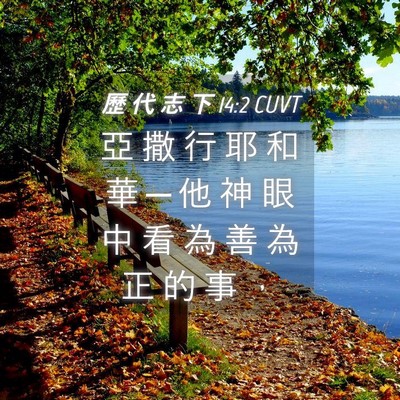 Picture 04 - 歷 代 志 下 14:2 CUVT - 亞 撒 行 耶 和 華 ─ 他 神 眼 中 看 - Bible Verse Picture