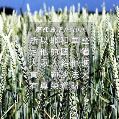 Picture 04 - 歷 代 志 下 17:5 CUVT - 所 以 耶 和 華 堅 定 他 的 國 ， 猶 - Bible Verse Picture