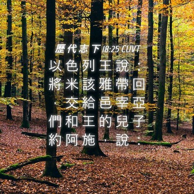 Picture 04 - 歷 代 志 下 18:25 CUVT - 以 色 列 王 說 ： 將 米 該 雅 帶 回 - Bible Verse Picture