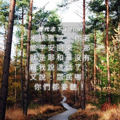 Picture 04 - 歷 代 志 下 18:27 CUVT - 米 該 雅 說 ： 你 若 能 平 安 回 來 - Bible Verse Picture