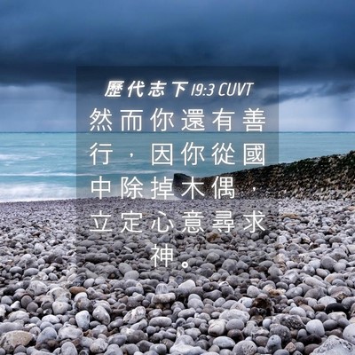 Picture 04 - 歷 代 志 下 19:3 CUVT - 然 而 你 還 有 善 行 ， 因 你 從 國 - Bible Verse Picture