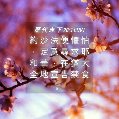 Picture 04 - 歷 代 志 下 20:3 CUVT - 約 沙 法 便 懼 怕 ， 定 意 尋 求 耶 - Bible Verse Picture