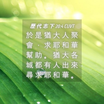 Picture 04 - 歷 代 志 下 20:4 CUVT - 於 是 猶 大 人 聚 會 ， 求 耶 和 華 - Bible Verse Picture
