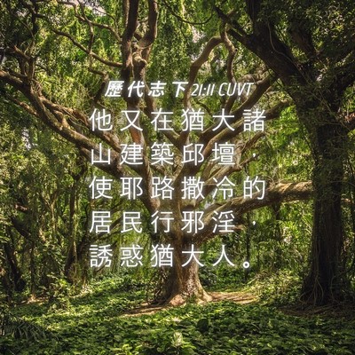 Picture 04 - 歷 代 志 下 21:11 CUVT - 他 又 在 猶 大 諸 山 建 築 邱 壇 ， - Bible Verse Picture