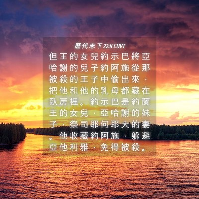 Picture 04 - 歷 代 志 下 22:11 CUVT - 但 王 的 女 兒 約 示 巴 將 亞 哈 謝 - Bible Verse Picture