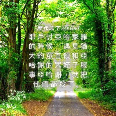 Picture 04 - 歷 代 志 下 22:8 CUVT - 耶 戶 討 亞 哈 家 罪 的 時 候 ， 遇 - Bible Verse Picture