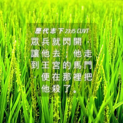 Picture 04 - 歷 代 志 下 23:15 CUVT - 眾 兵 就 閃 開 ， 讓 他 去 ； 他 走 - Bible Verse Picture