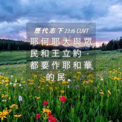 Picture 04 - 歷 代 志 下 23:16 CUVT - 耶 何 耶 大 與 眾 民 和 王 立 約 ， - Bible Verse Picture