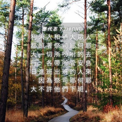 Picture 04 - 歷 代 志 下 23:8 CUVT - 利 未 人 和 猶 大 眾 人 都 照 著 祭 - Bible Verse Picture