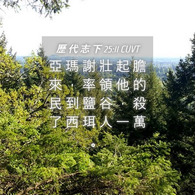 Picture 04 - 歷 代 志 下 25:11 CUVT - 亞 瑪 謝 壯 起 膽 來 ， 率 領 他 的 - Bible Verse Picture