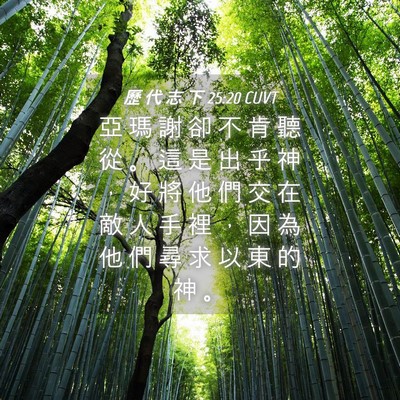 Picture 04 - 歷 代 志 下 25:20 CUVT - 亞 瑪 謝 卻 不 肯 聽 從 。 這 是 出 - Bible Verse Picture
