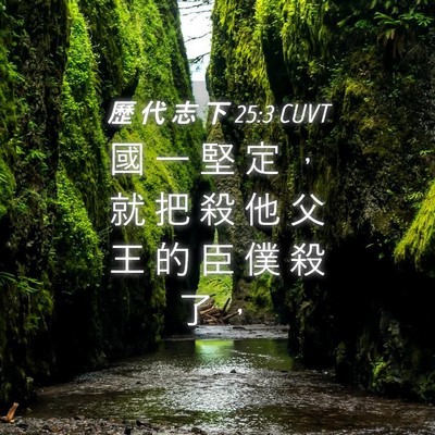 Picture 04 - 歷 代 志 下 25:3 CUVT - 國 一 堅 定 ， 就 把 殺 他 父 王 的 - Bible Verse Picture