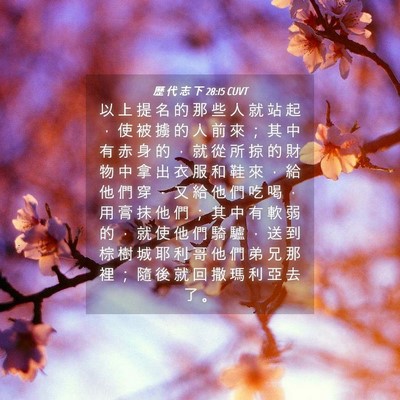 Picture 04 - 歷 代 志 下 28:15 CUVT - 以 上 提 名 的 那 些 人 就 站 起 ， - Bible Verse Picture