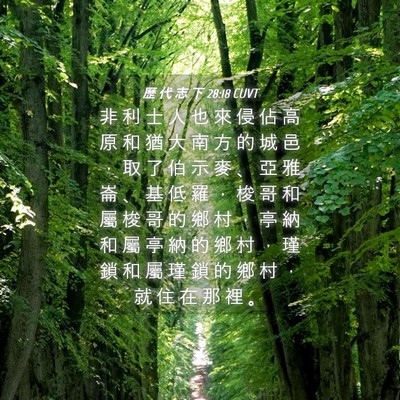 Picture 04 - 歷 代 志 下 28:18 CUVT - 非 利 士 人 也 來 侵 佔 高 原 和 猶 - Bible Verse Picture