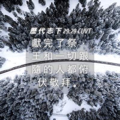 Picture 04 - 歷 代 志 下 29:29 CUVT - 獻 完 了 祭 ， 王 和 一 切 跟 隨 的 - Bible Verse Picture
