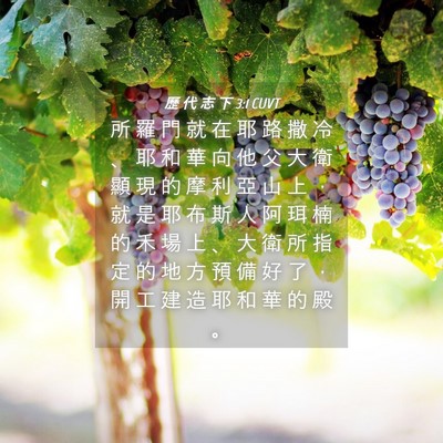Picture 04 - 歷 代 志 下 3:1 CUVT - 所 羅 門 就 在 耶 路 撒 冷 、 耶 和 - Bible Verse Picture