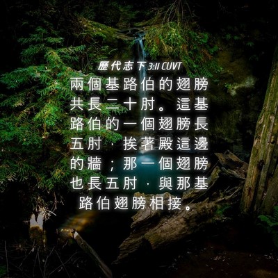 Picture 04 - 歷 代 志 下 3:11 CUVT - 兩 個 基 路 伯 的 翅 膀 共 長 二 十 - Bible Verse Picture