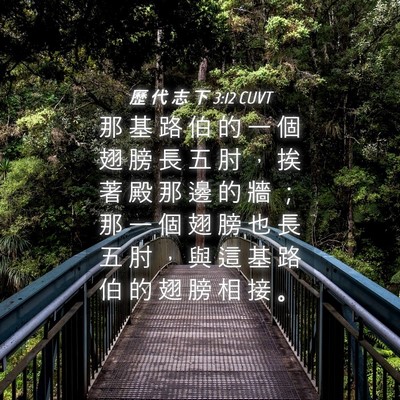 Picture 04 - 歷 代 志 下 3:12 CUVT - 那 基 路 伯 的 一 個 翅 膀 長 五 肘 - Bible Verse Picture