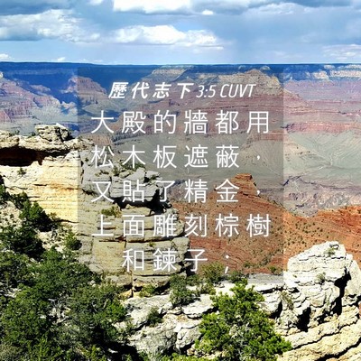 Picture 04 - 歷 代 志 下 3:5 CUVT - 大 殿 的 牆 都 用 松 木 板 遮 蔽 ， - Bible Verse Picture