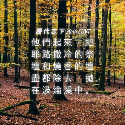 Picture 04 - 歷 代 志 下 30:14 CUVT - 他 們 起 來 ， 把 耶 路 撒 冷 的 祭 - Bible Verse Picture