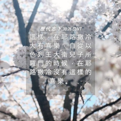 Picture 04 - 歷 代 志 下 30:26 CUVT - 這 樣 ， 在 耶 路 撒 冷 大 有 喜 樂 - Bible Verse Picture